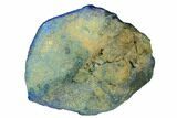 Vivid Blue, Cut/Polished Azurite Nodule - Siberia #175573-1
